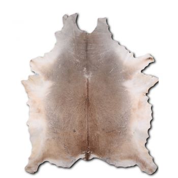 ASSORTED CUT LG&#47;XL Brazilian cowhide rugs. Measures approx. 42.5-50 square feet #2